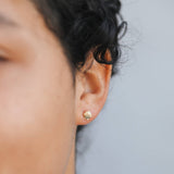 Petite Seashell Earrings