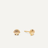 Petite Seashell Earrings